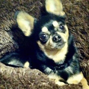 Meet your Posher, Kenny